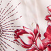 Colour: WHITE BORDEAUX