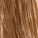 CAMMELLO