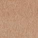 CAMMELLO