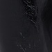 Colour: BLACK