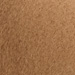 CAMMELLO