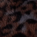 Colour: BROWN