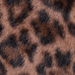 ANIMALIER
