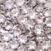 PLATA