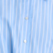 PALE BLUE