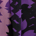 VIOLETA