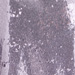 LILLA