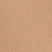 CAMMELLO