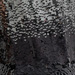 SILVER BLACK