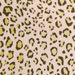 BEIGE LIME