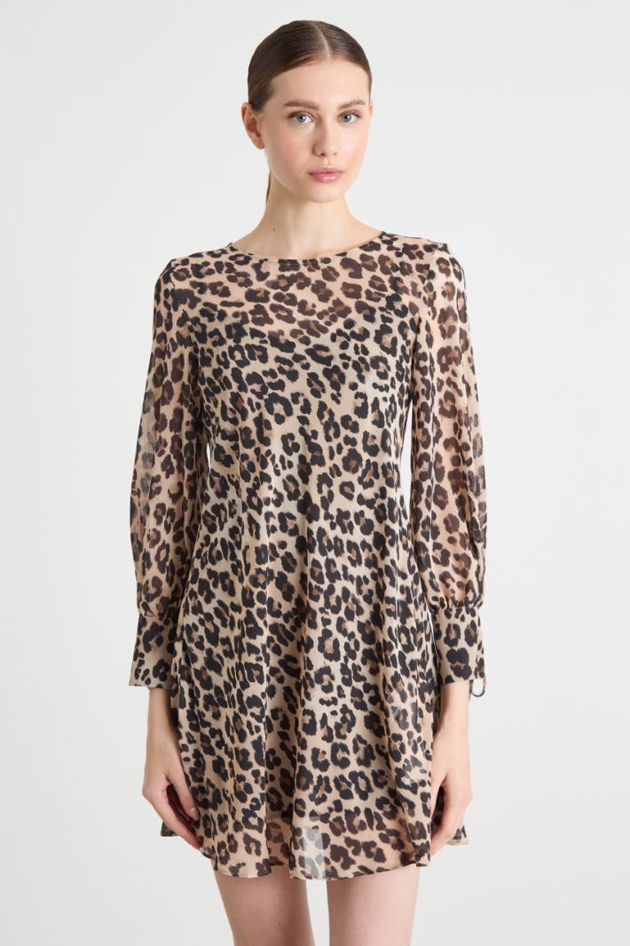 Animal-print dress Intrend - 2