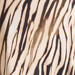 Colore: ANIMALIER