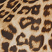 Colore: ANIMALIER