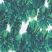 Colore: VERDE
