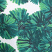 Colore: VERDE