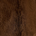 Colour: BROWN