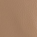 Colour: CAMEL