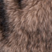 Colore: BEIGE
