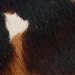 Colour: BROWN