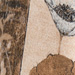 Colore: MARRONE