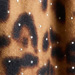 Colour: ANIMAL
