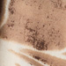 Couleur : CHAMEAU NOIR