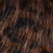 Colore: ANIMALIER