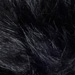 Colour: BLACK