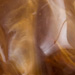 Colore: MARRONE