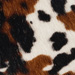 Colour: BROWN