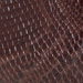 Colore: ANIMALIER
