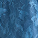 Couleur : BLEU CLAIR
