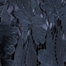 Colour: BLACK