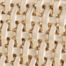 Colour: GOLD