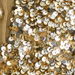 Colore: ORO