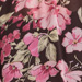Colour: BROWN