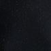 Colour: BLACK