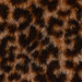 Colour: ANIMAL