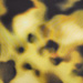 Farbe: GELB
