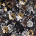 Colore: NERO