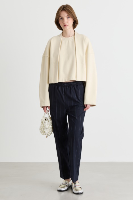 Pinstripe flannel trousers - Intrend