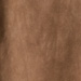 Colour: BROWN