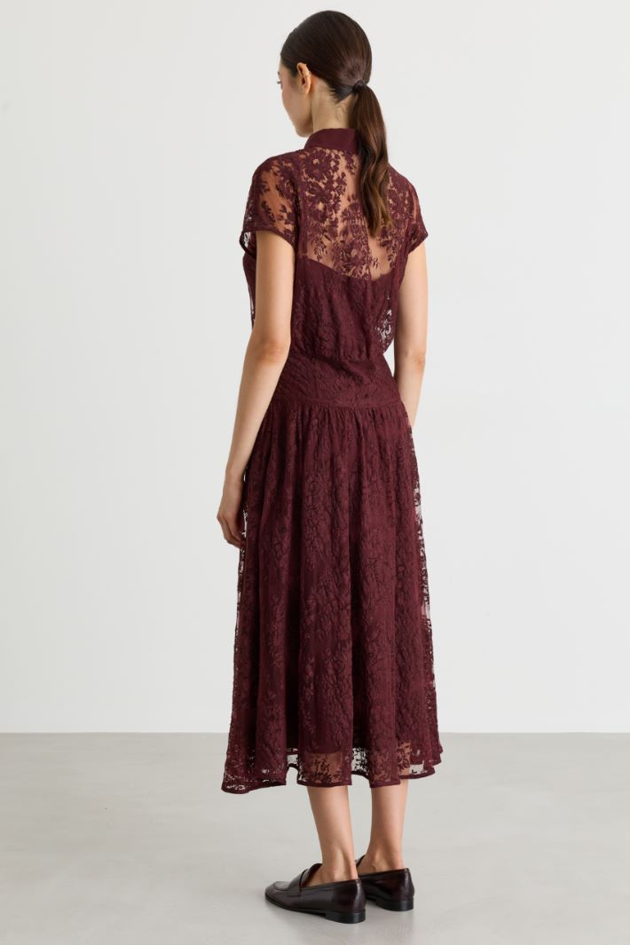 Lace shirt dress - BORDEAUX - Intrend - 4