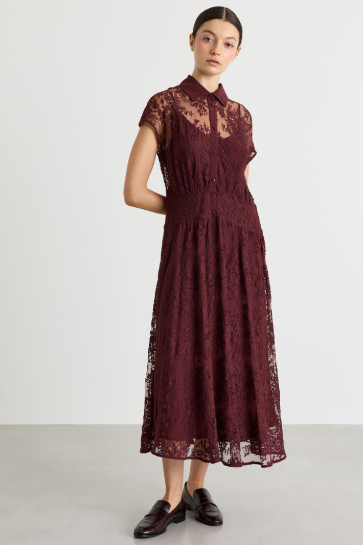 Lace shirt dress - BORDEAUX - Intrend - 2