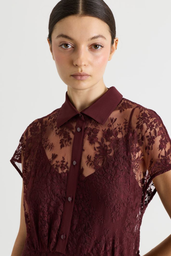 Lace shirt dress - BORDEAUX - Intrend - 3