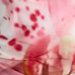 Couleur : ROSE