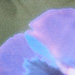 Colore: VERDE