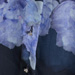 Colore: BLU