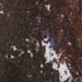 Colore: MARRONE BLU BIANCO