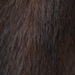 Colour: BROWN